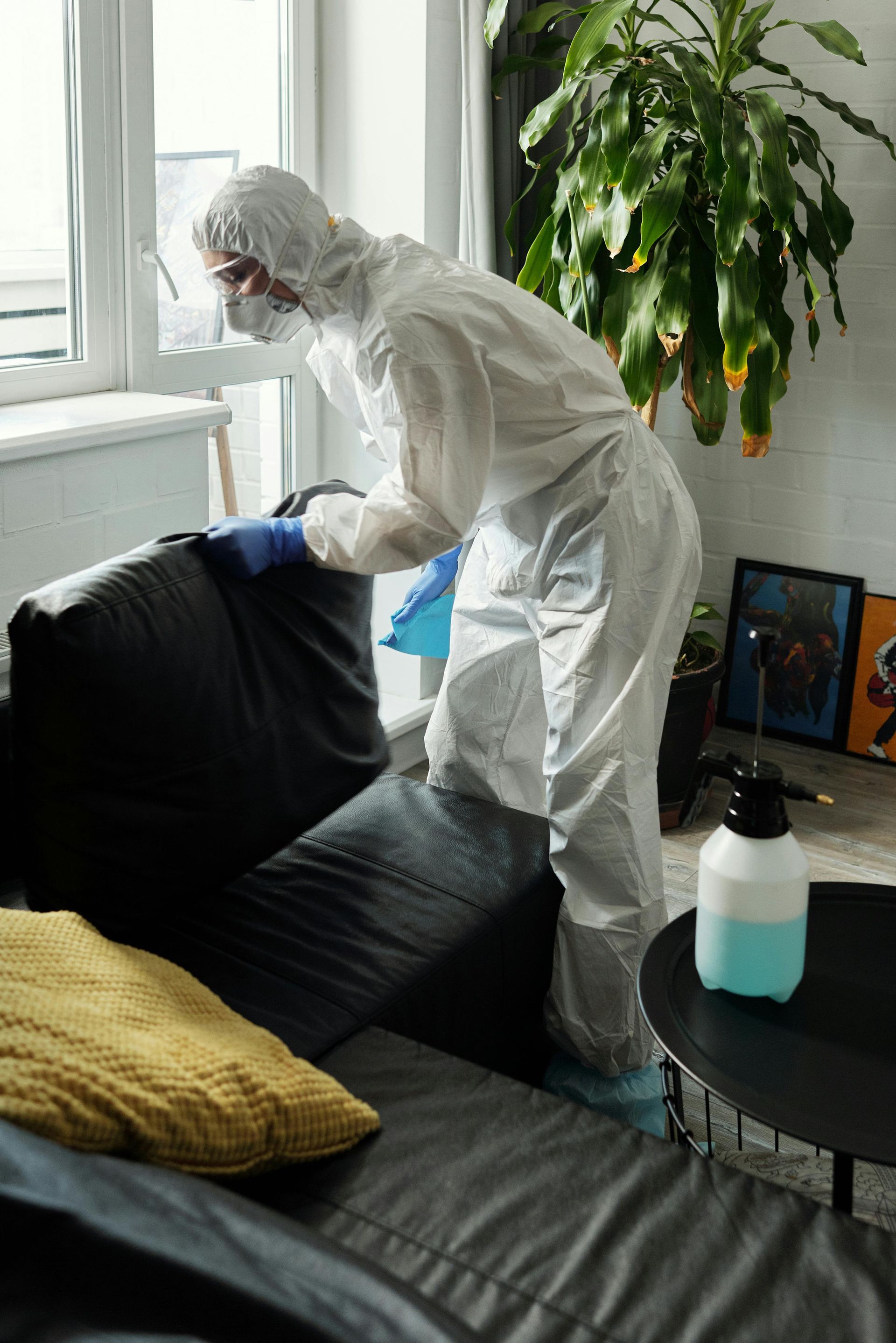 Liverpool pest control services – professional exterminators offering environmentally friendly solutions for homes and businesses