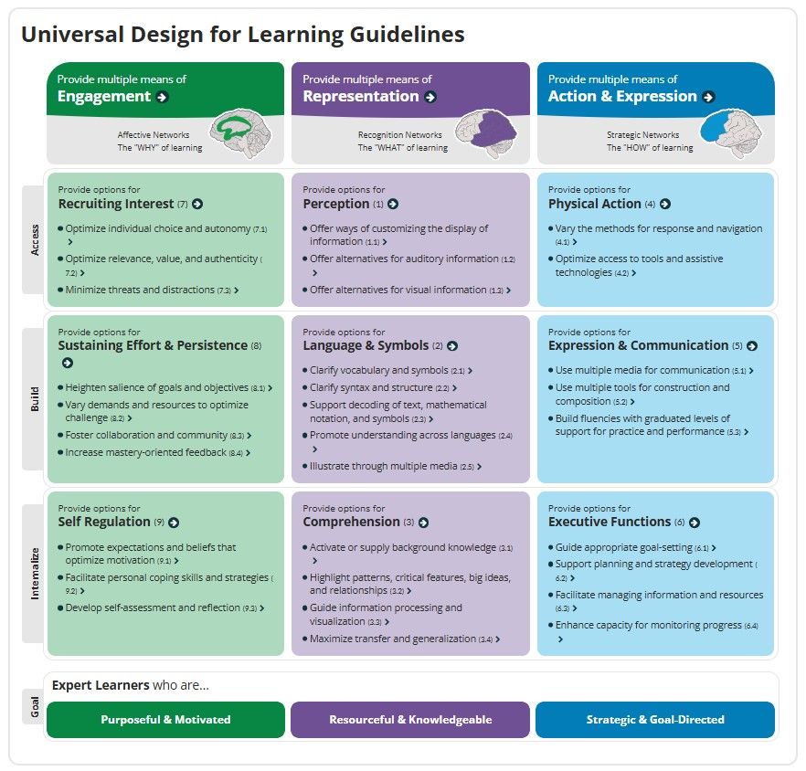 screenshot of the UDL guidelines graphic organizer.