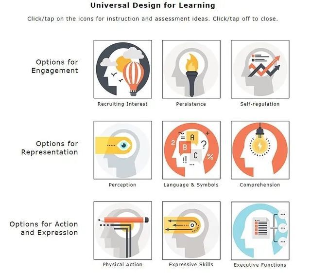 Universal Design for Learning graphic showing engagement, representation, and action/expression learning options.