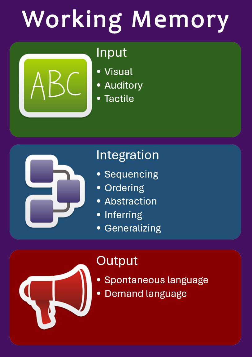 working memory chart - input, integration, output