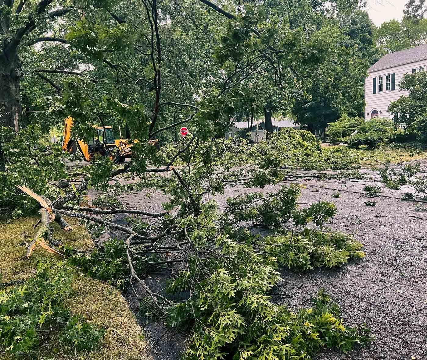 Storm Damage in Residential Area — Clinton, WI — T's Tree Service Storm Damage in Residential Area — Clinton, WI — T's Tree Service