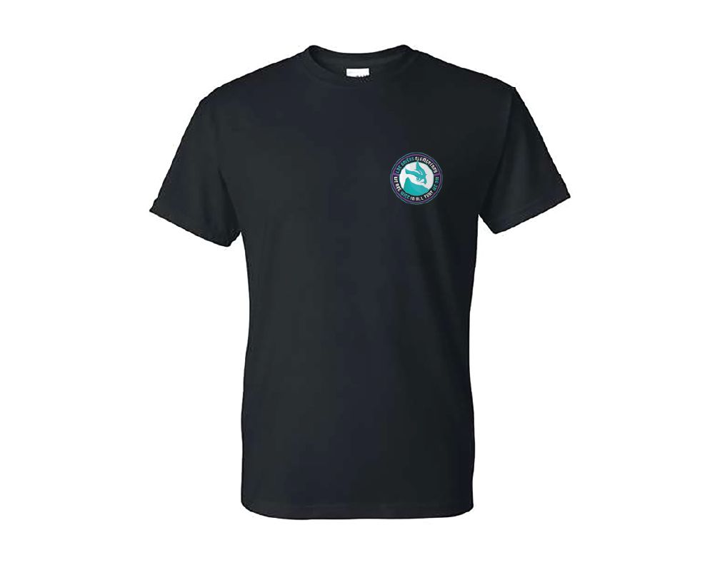 Dryblend T-Shirt - We Are Wise Spirit Shirt