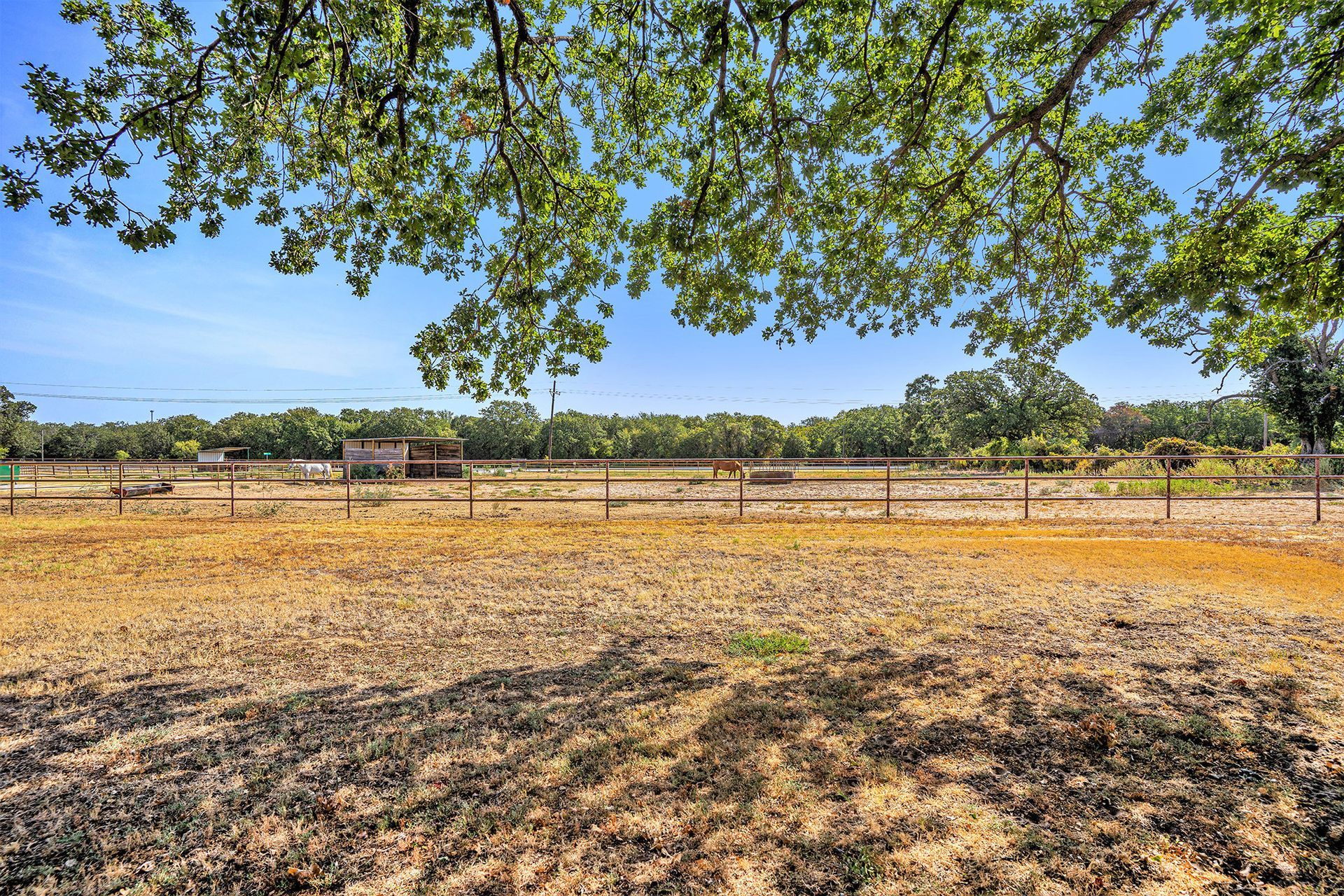 An empty field with a fence and trees in the background