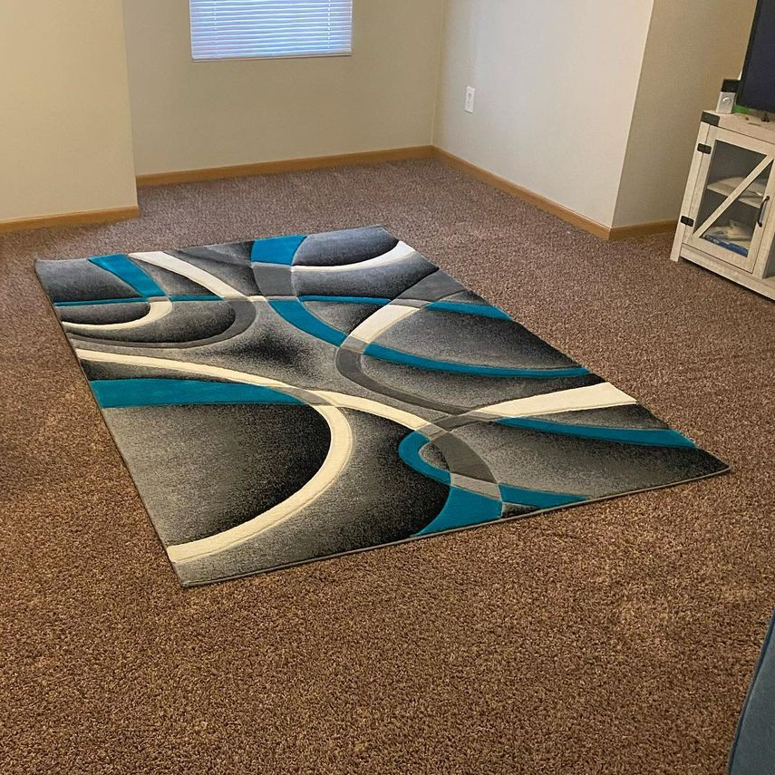 Excellence in Motion Carpet Cleaning Columbus, Ohio Residential