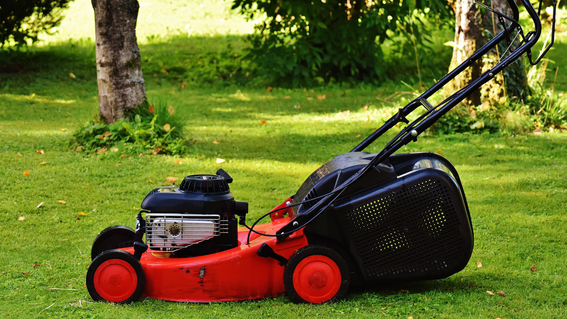 A red lawn mower with a black grass catcher sitting on a green grassy lawn with trees in the background.