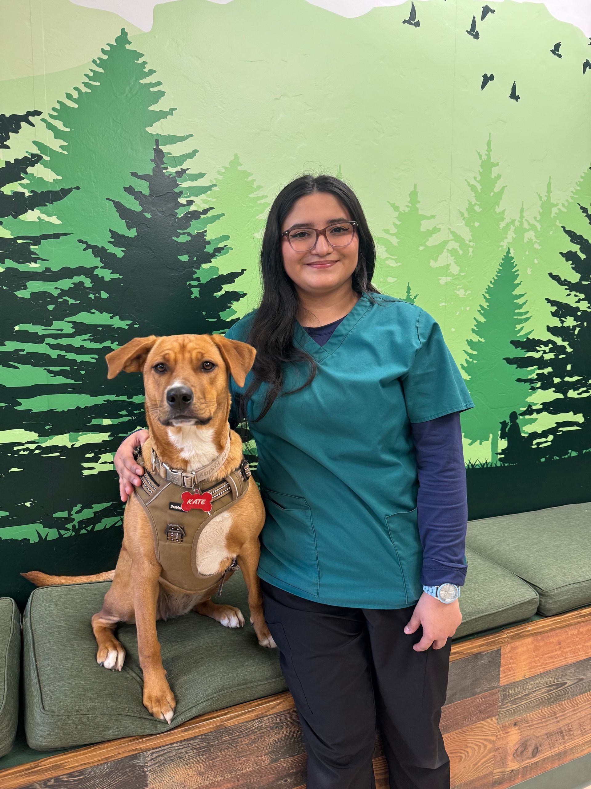 A person in scrubs and a dog seated on a bench in front of a forest mural. A person in scrubs and a dog seated on a bench in front of a forest mural.