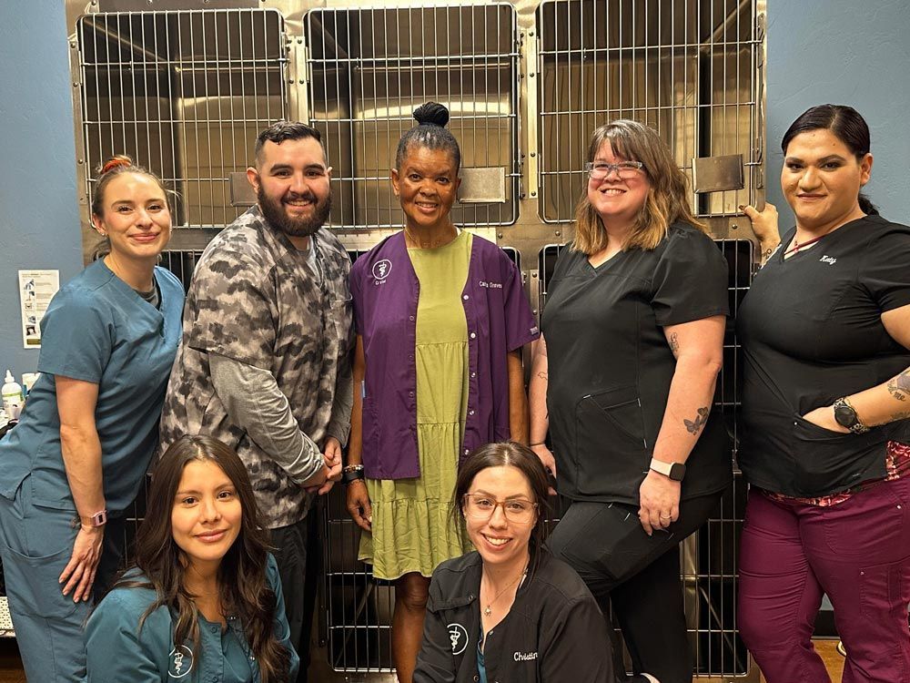 Staff — Tucson, AZ — Animal Birth Control of Tucson Inc. Staff — Tucson, AZ — Animal Birth Control of Tucson Inc.
