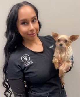 Selena — Tucson, AZ — Animal Birth Control of Tucson Inc. Selena — Tucson, AZ — Animal Birth Control of Tucson Inc.