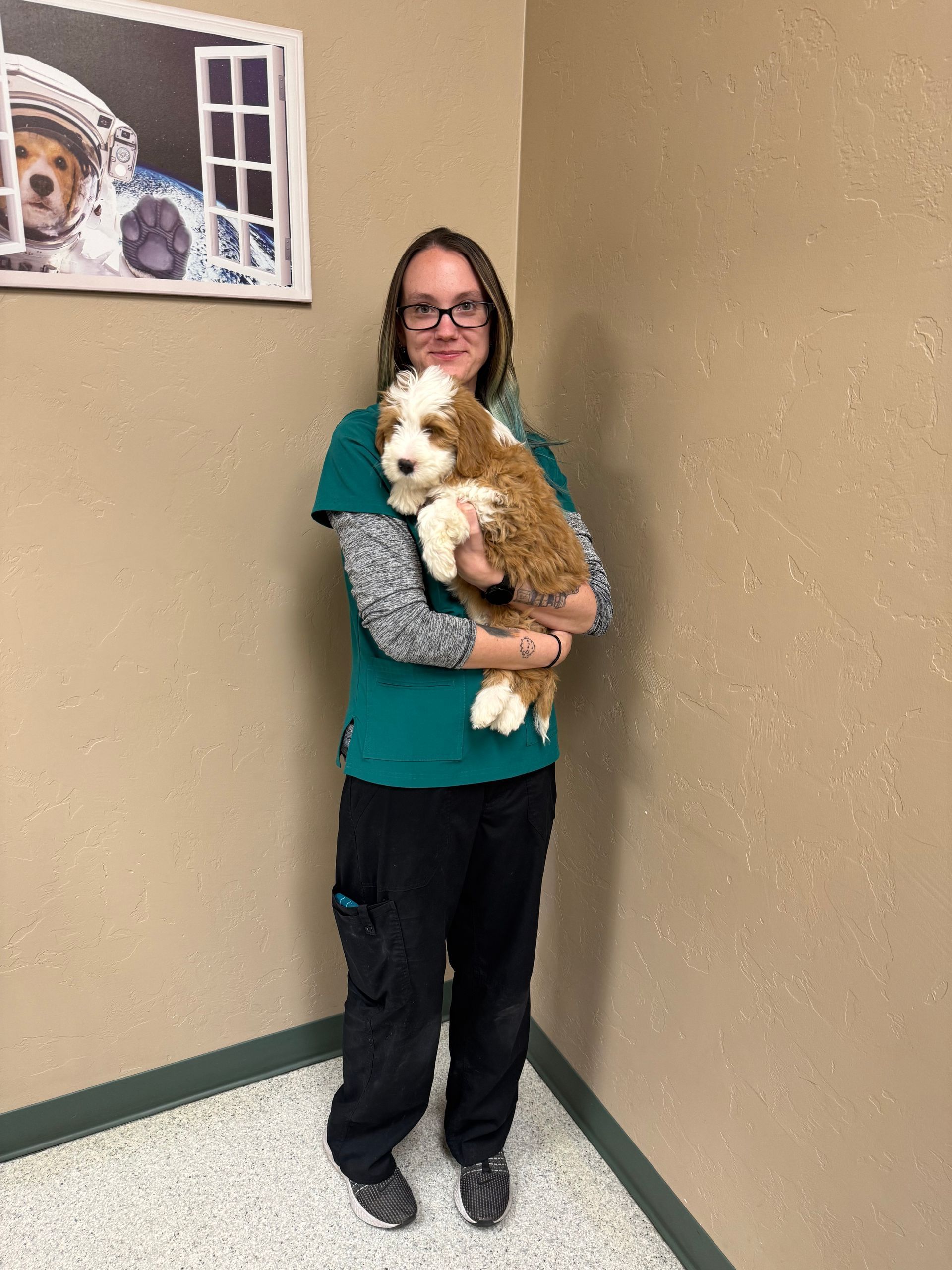 Woman in teal scrubs holds a fluffy, brown and white puppy. Corner of a room with a painting of a dog in the background. Woman in teal scrubs holds a fluffy, brown and white puppy. Corner of a room with a painting of a dog in the background.