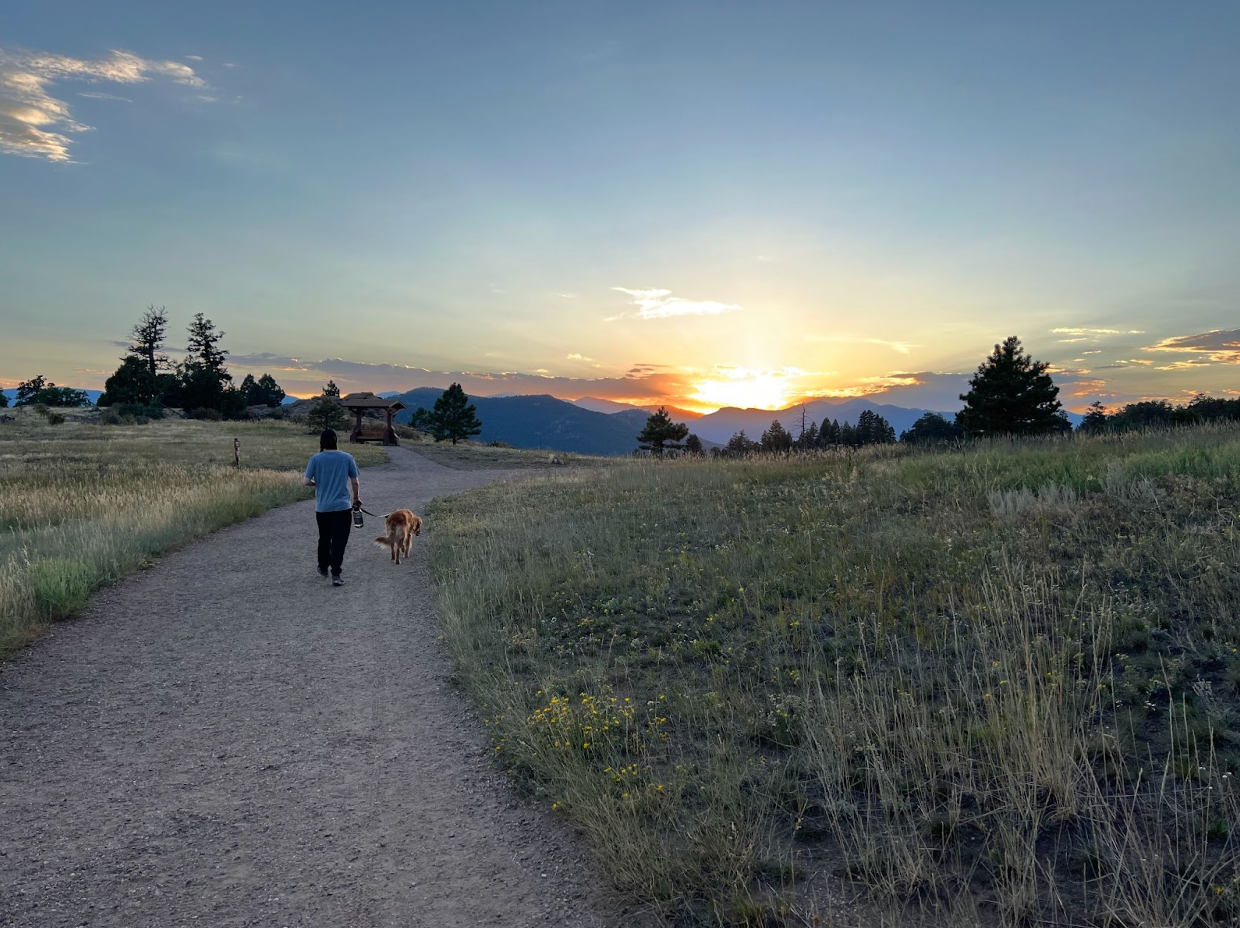 A man and a dog are walking down a dirt path at sunset.