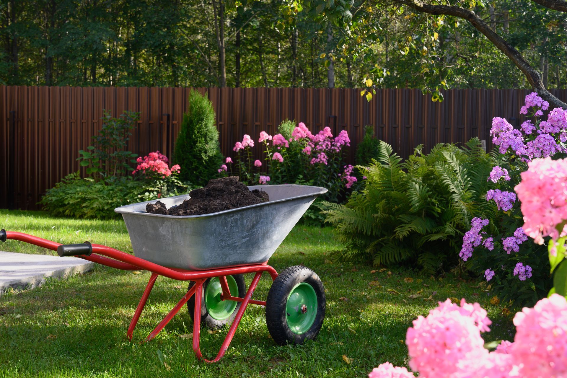 Wheelbarrow with flowers in a colorful garden beside a wooden fence