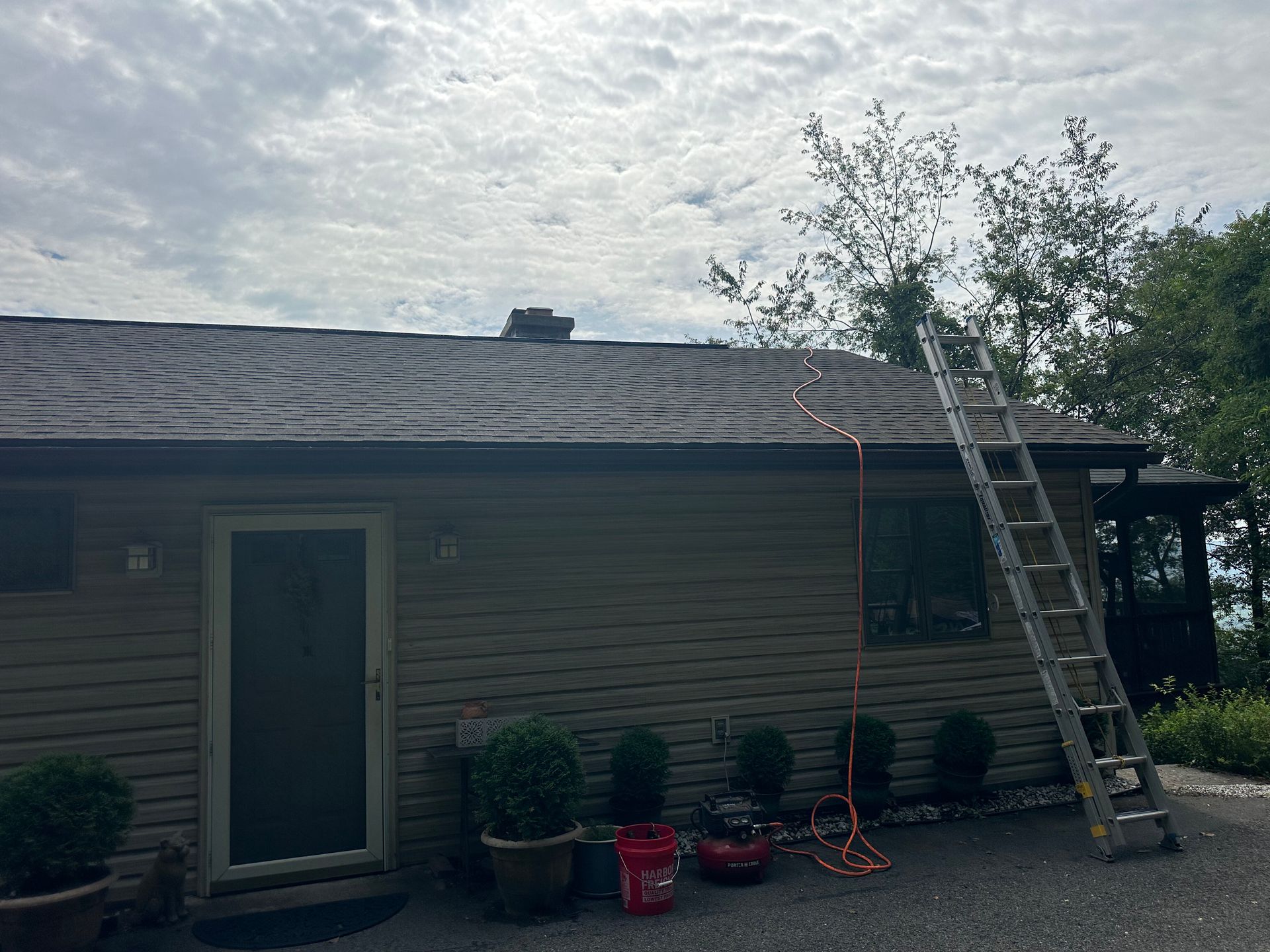 Ladder leaning against house roof beside a row of potted plants and a door on the patio