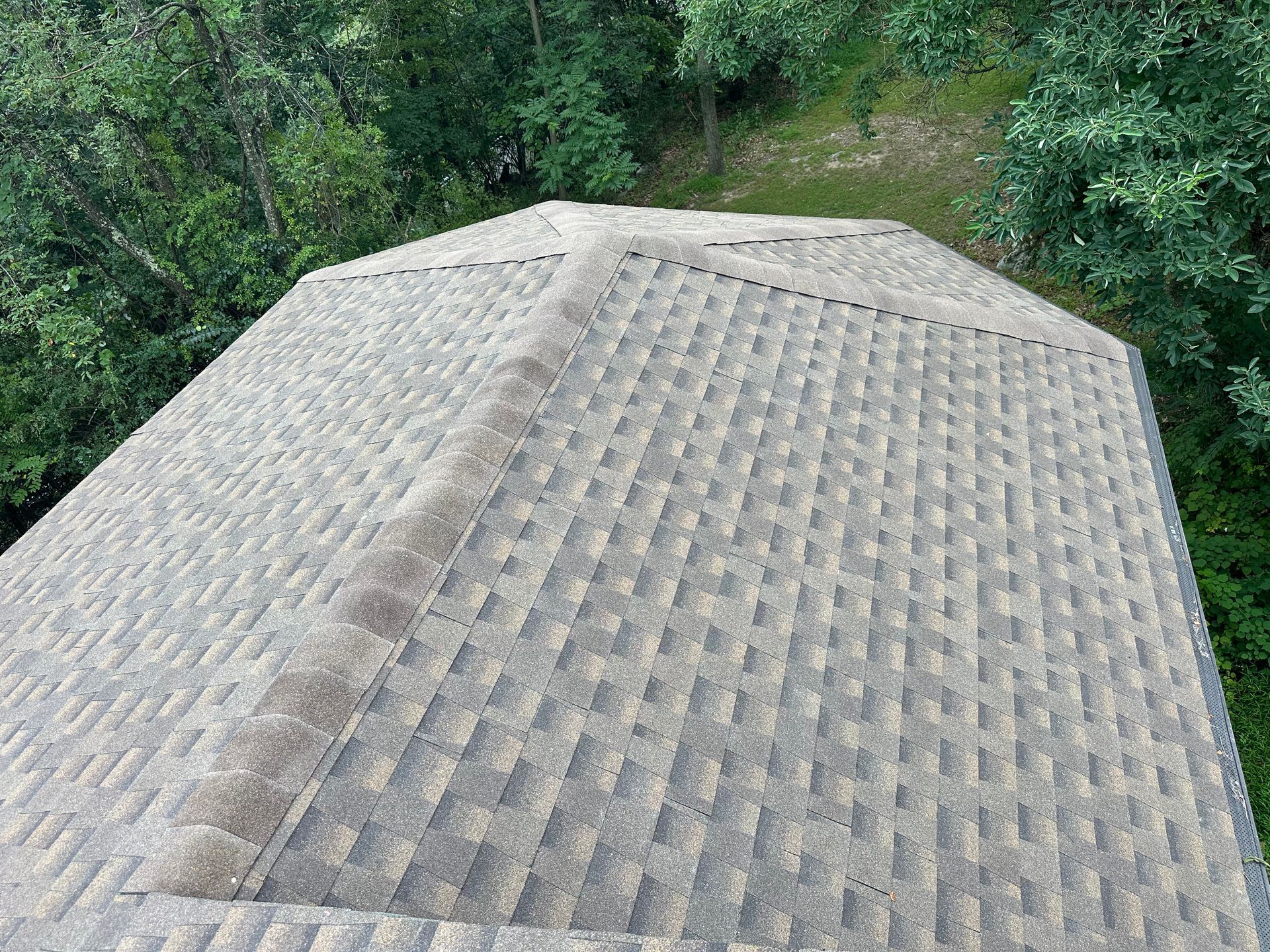 Rooftop with textured gray shingles, surrounded by dense green trees.