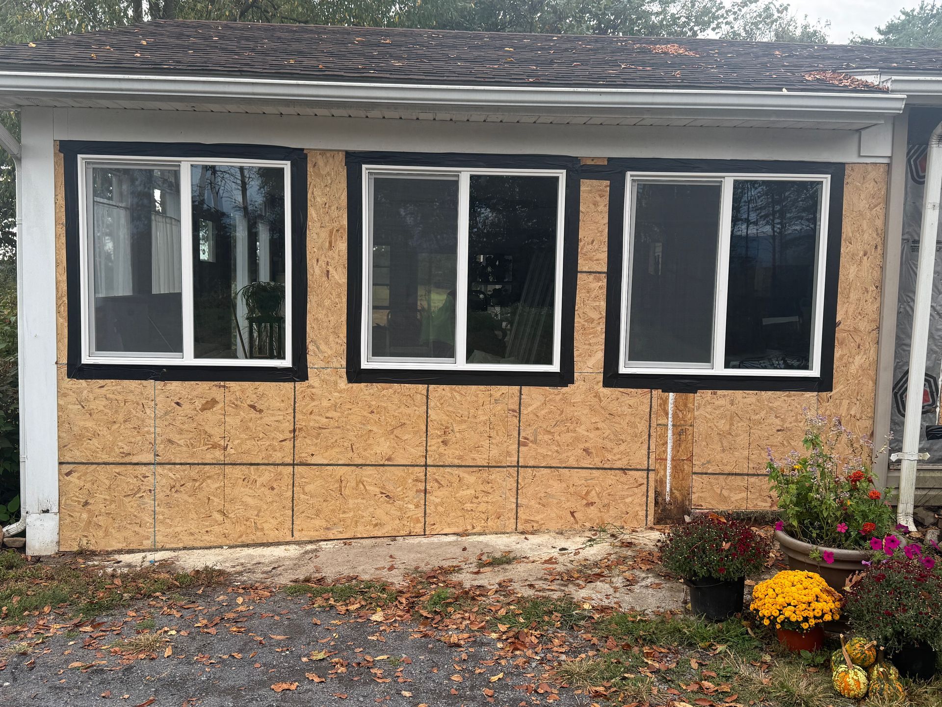 Small house exterior with three windows, plywood siding, white trim, and autumn flowers by the foundation