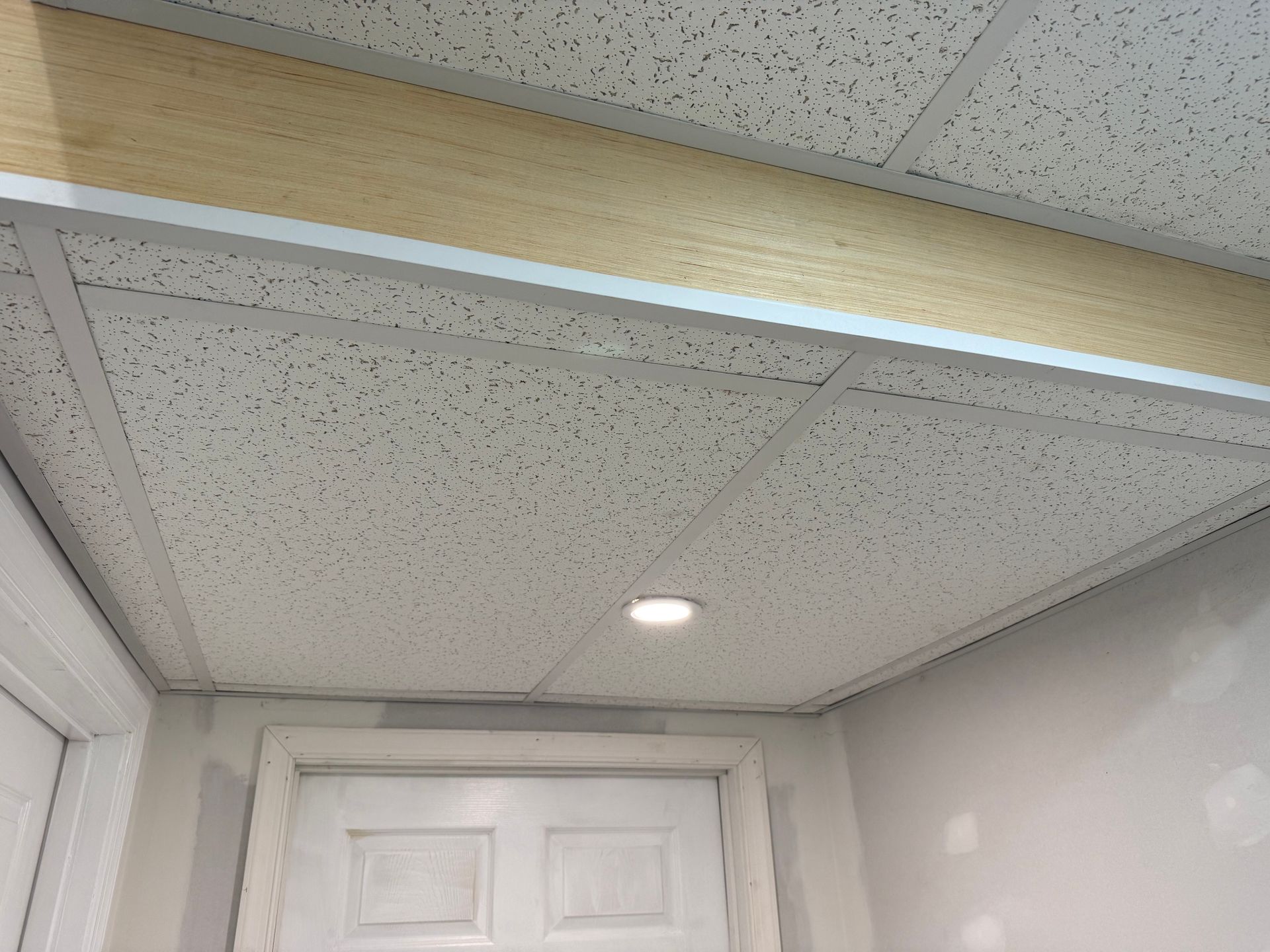 Drop ceiling and white door in a narrow hallway, with a recessed light overhead.