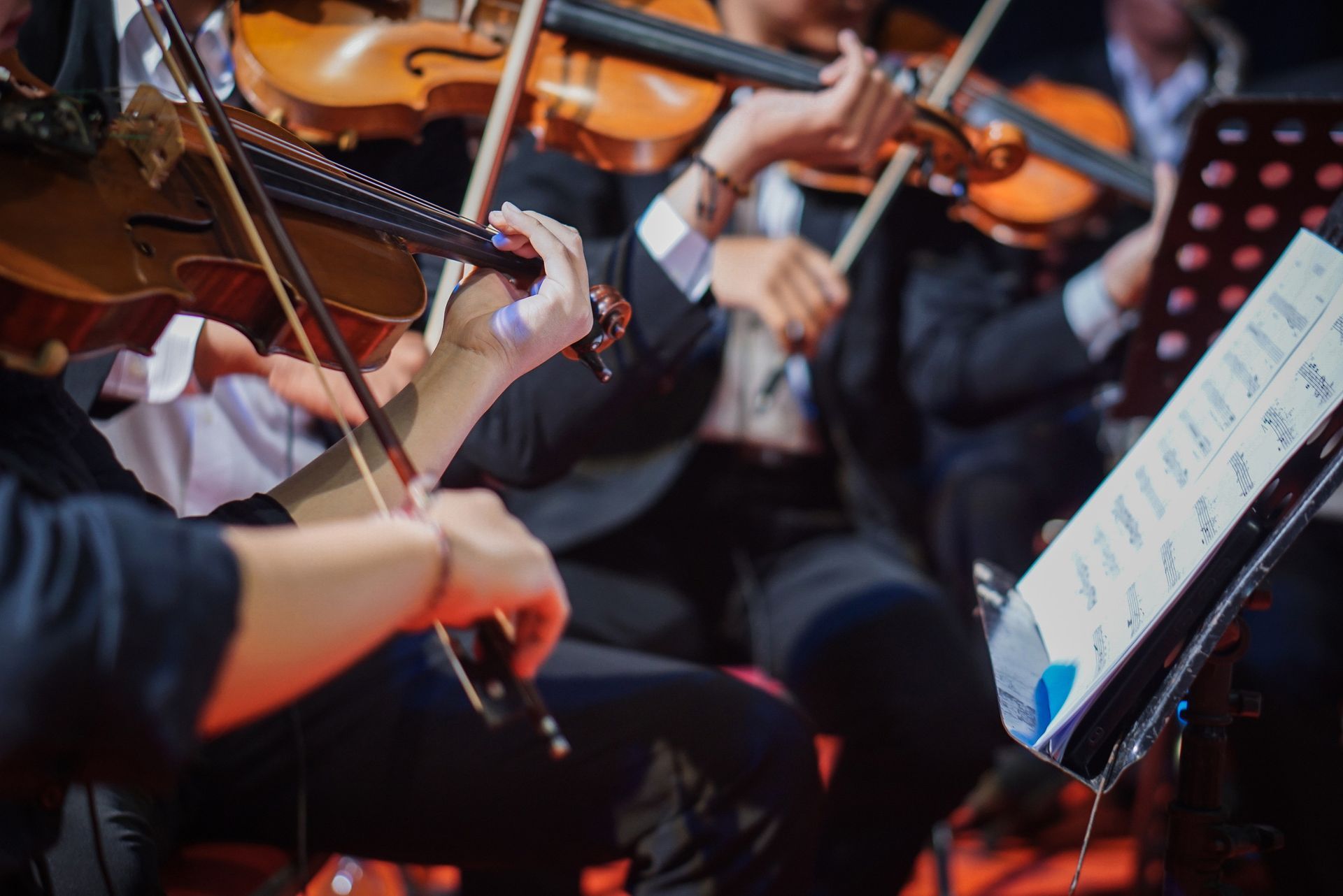 A group of people are playing violins in an orchestra.