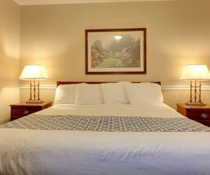 A hotel room with a bed and two lamps.