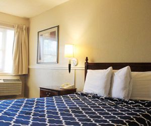 A hotel room with a bed, nightstand, lamp, and window.
