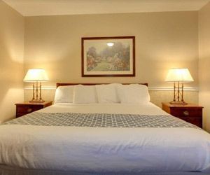A hotel room with a king size bed and two lamps.