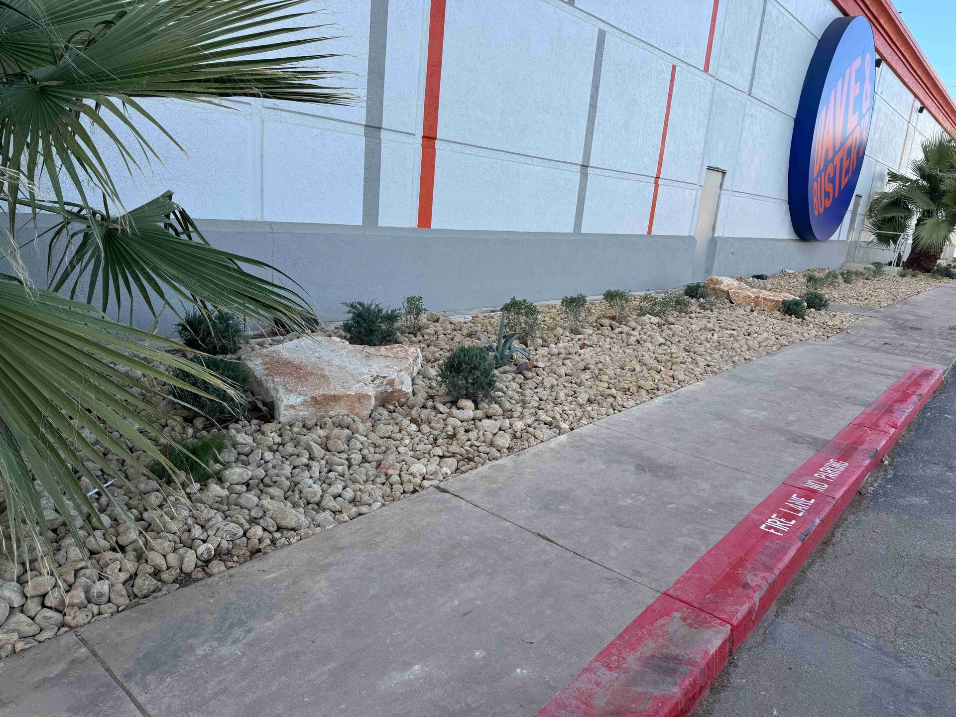 Red curb beside a sidewalk, next to a landscaped wall with rocks and palm fronds.