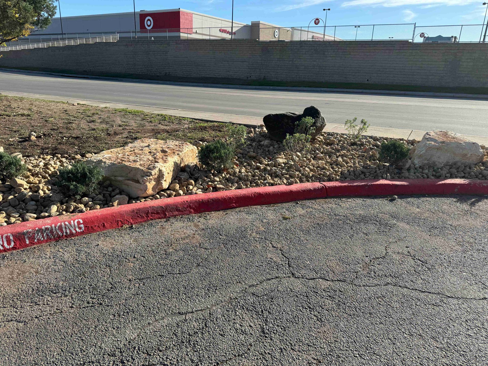Black cat in a rocky roadside median beside a red curb and highway.