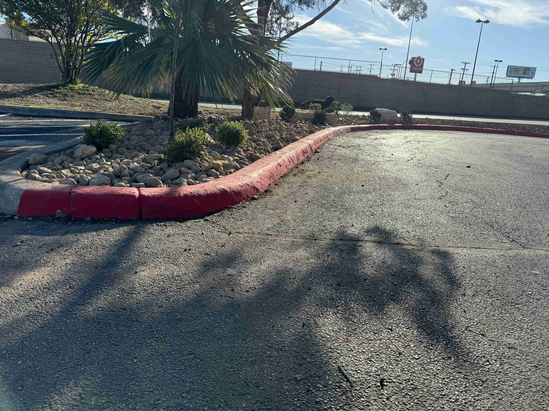 Gravel parking lot with a red curb, palm trees, and a bright sky near a roadside barrier