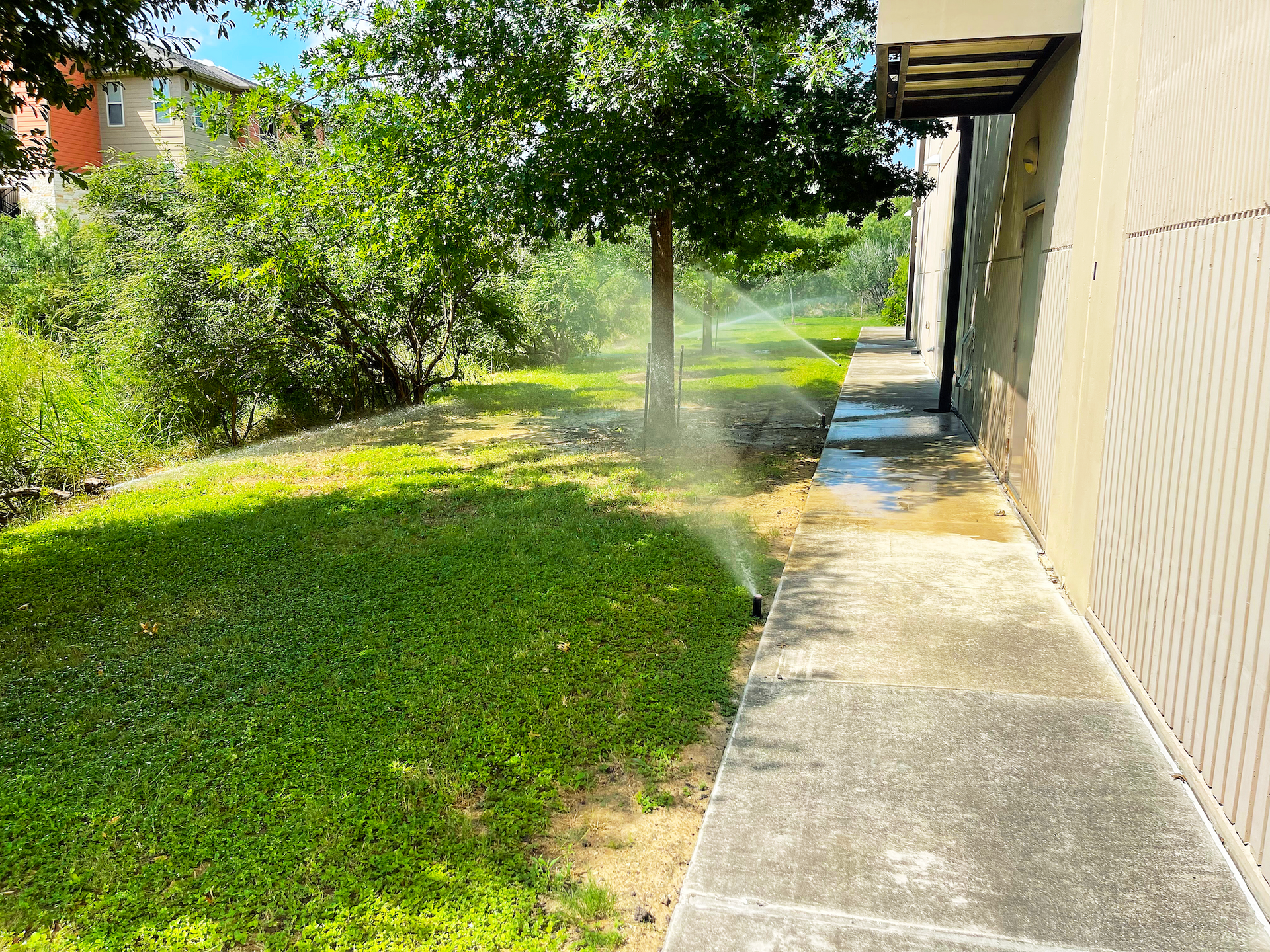 Sprinkler watering green lawn next to a building on a sunny day.