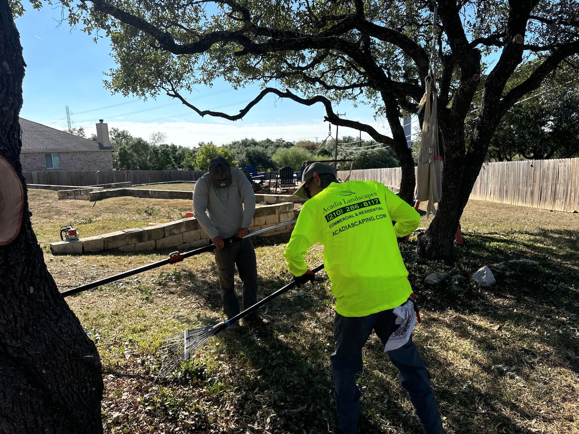 Two men pulling on a rope tied to a tree branch; one in a yellow vest. Outdoors on a sunny day.