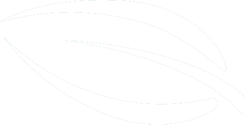 Dotted lines forming a stylized leaf shape, with inner veins indicated.