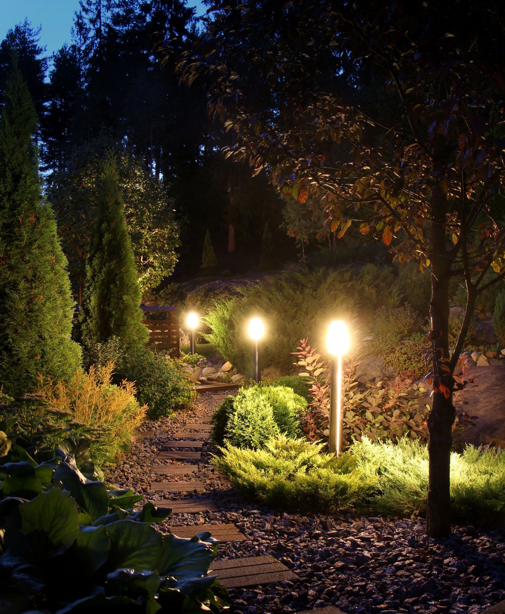 Lit garden path at night with glowing lamps, shrubs, and tall trees