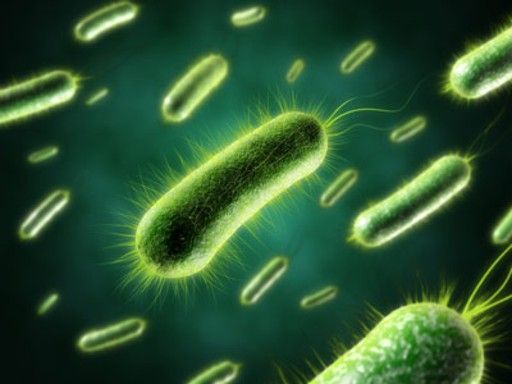 Glowing green rod-shaped bacteria floating on a dark background