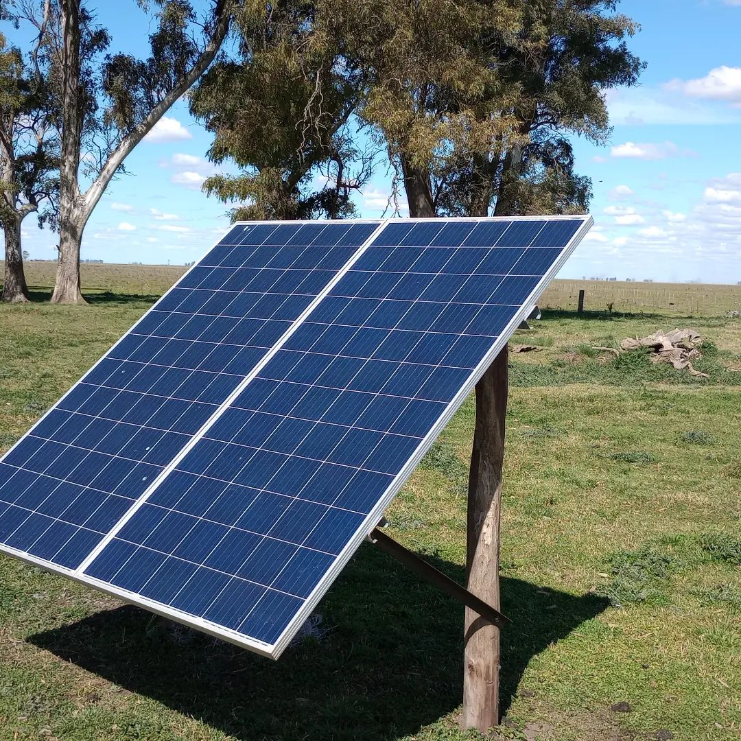 Paneles solares instalados sobre postes de madera en un campo de hierba con árboles al fondo.