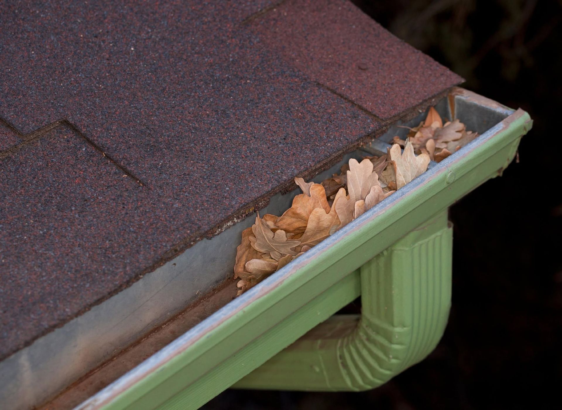 Close-up of a roof gutter filled with dry leaves beside dark shingles and green trim.