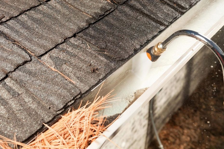 Roof gutter filled with pine needles beneath asphalt shingles
