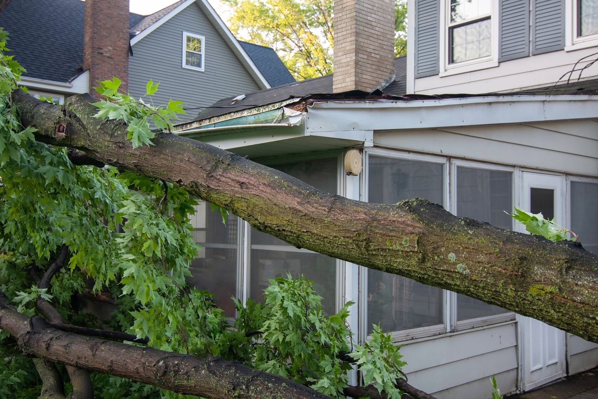Fallen tree trunk leaning across a house roof and screened porch