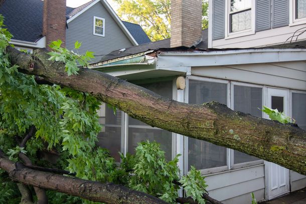 Large tree branch fallen across a house roof and windows after storm damage