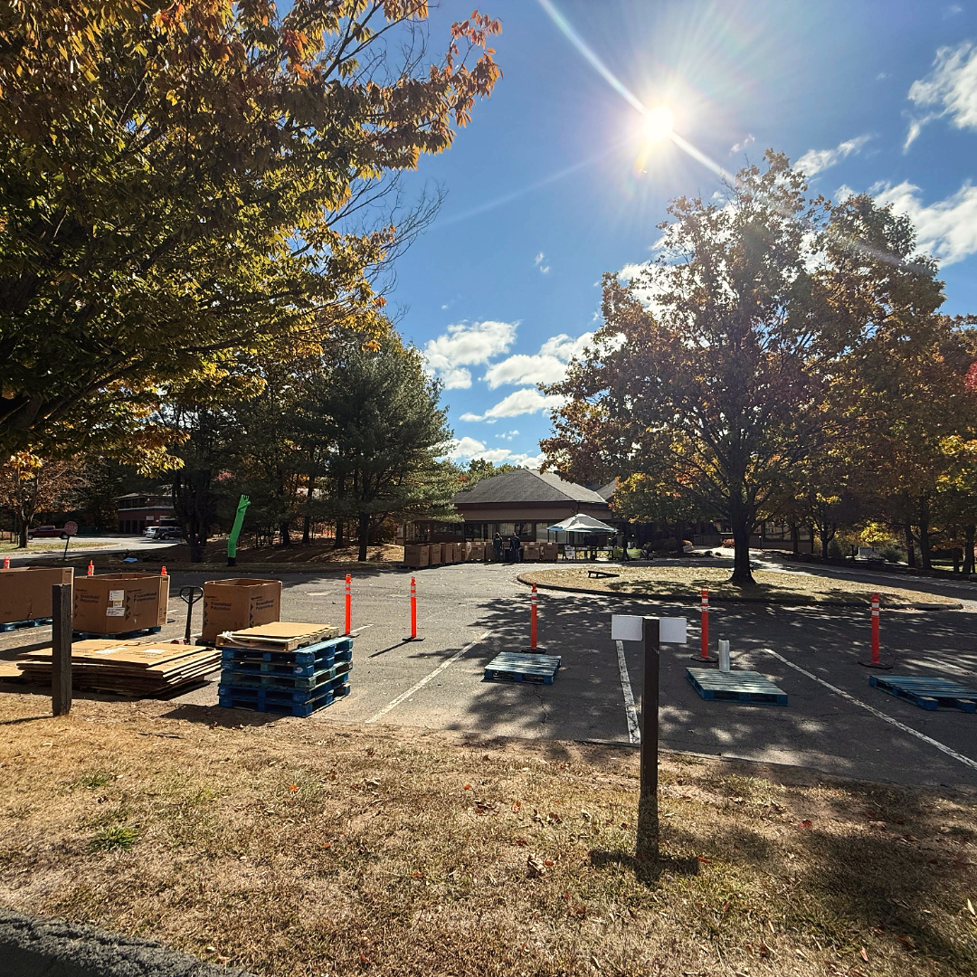Sunlit park construction site with orange cones, stacked pallets, and trees in autumn colors