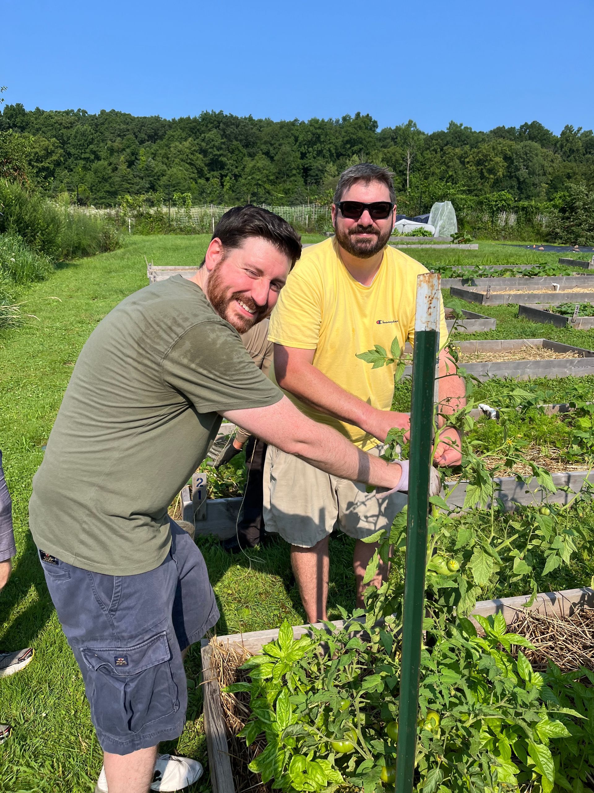 Two men tending plants in a sunny community garden, one smiling beside a green trellis.