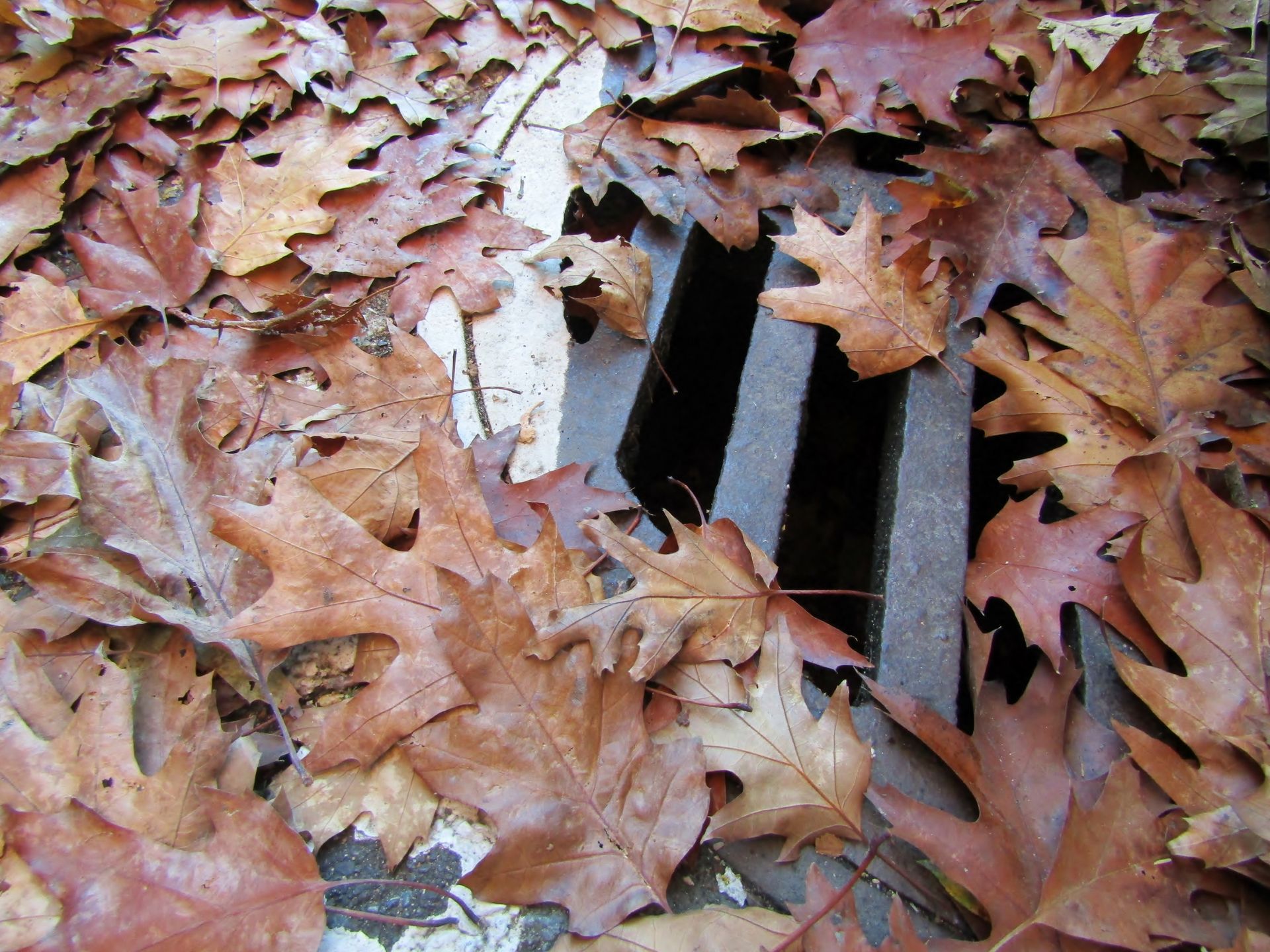 Well — San Antonio, TX — FHL Foundations and Remodeling Well — San Antonio, TX — FHL Foundations and Remodeling