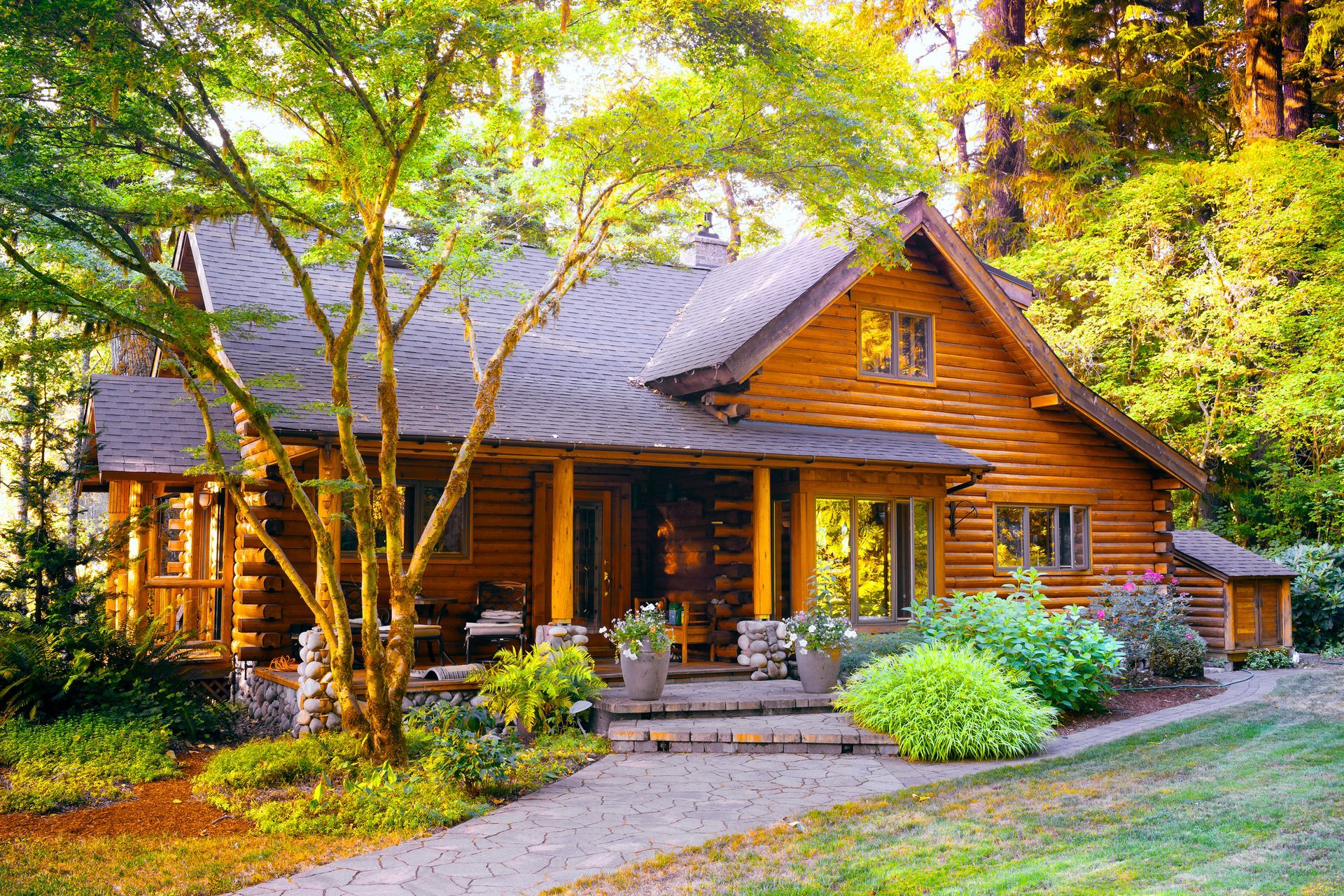A small log cabin in the middle of a forest surrounded by trees.