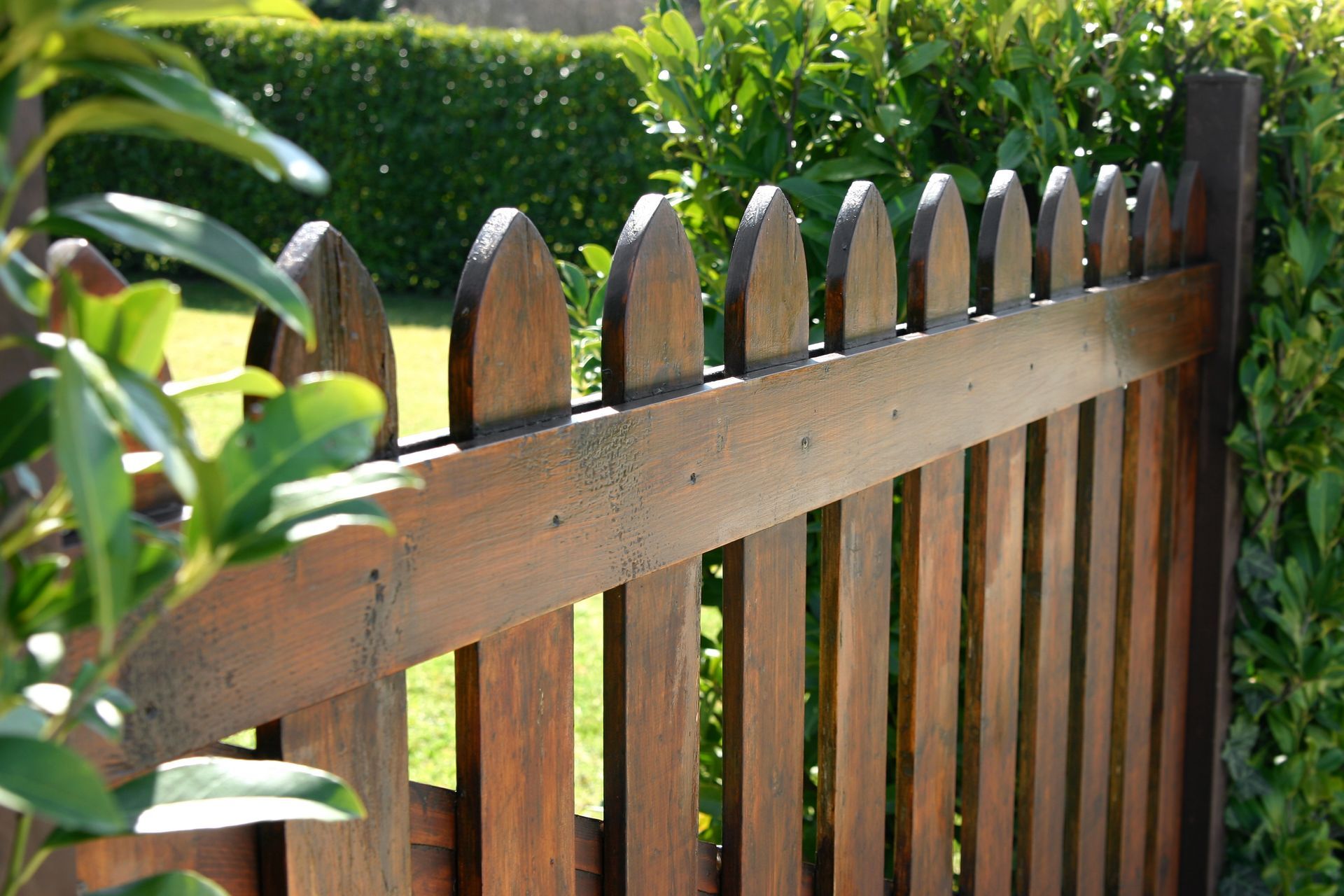 A close up of a wooden fence with a bush in the background