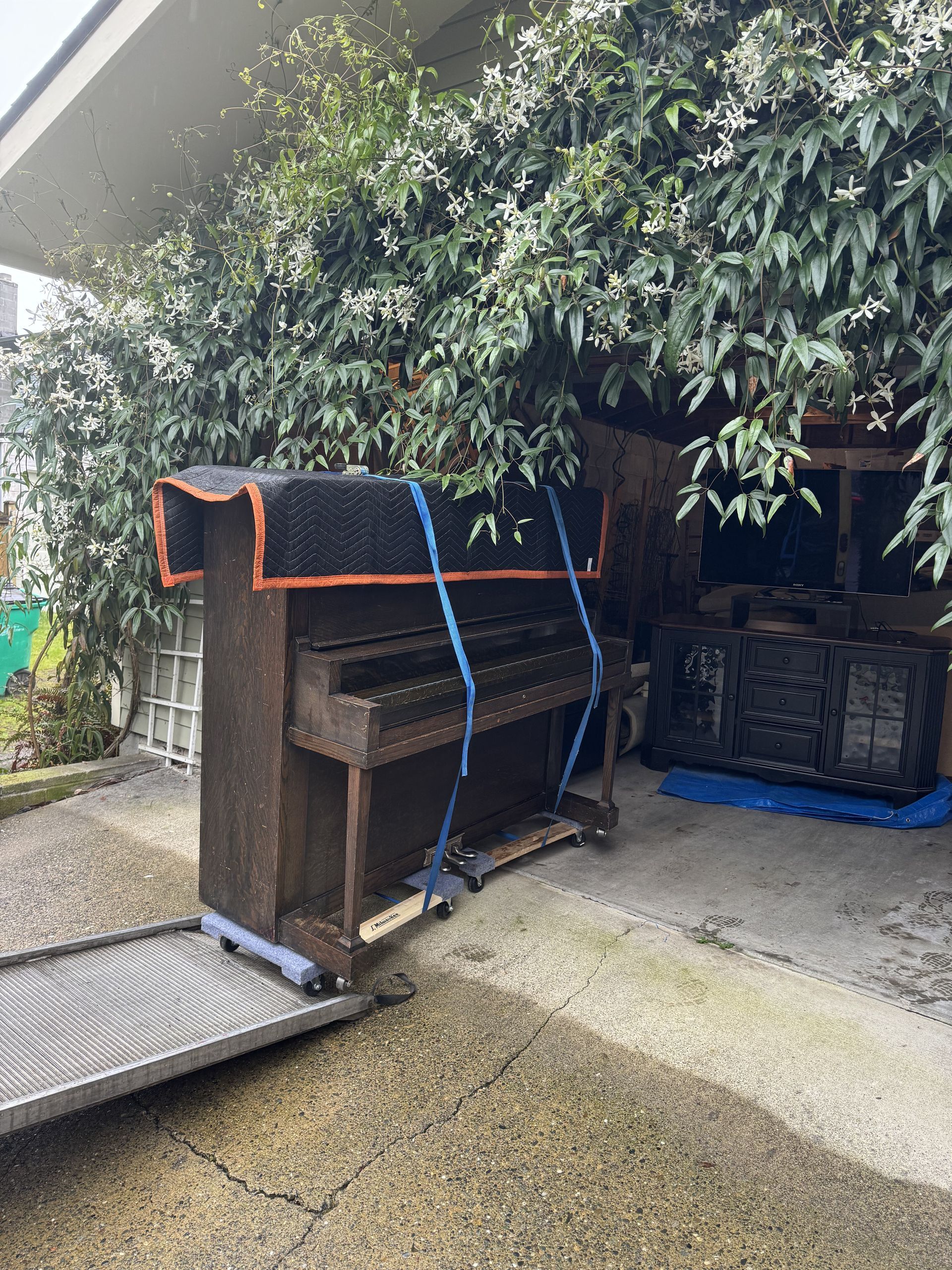 Piano being moved using a ramp. The piano is strapped with blue straps and covered with a black pad.