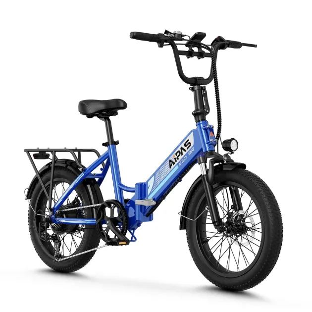 Cargo Runner e-bike
