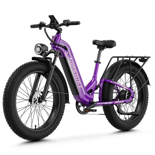 City Cruiser e-bike