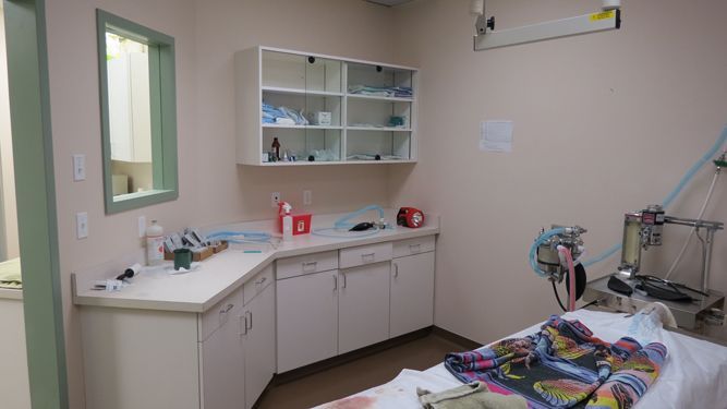 A clean examination room with cabinets, a window, medical equipment, and a table covered with a patterned blanket.