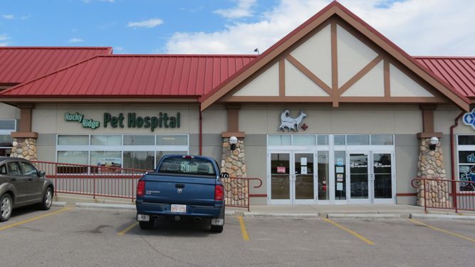 A blue pickup truck parked in front of a Pet Hospital building with a red roof and stone pillars.