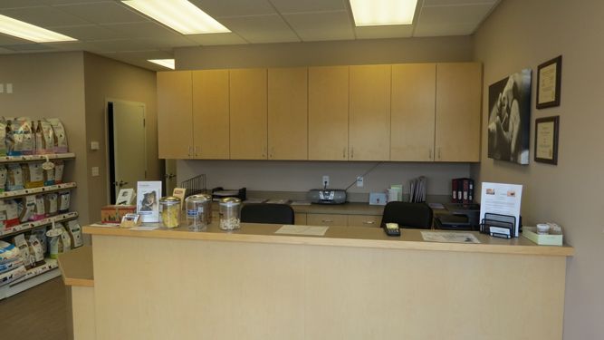 Reception desk in a veterinary clinic with light wood cabinetry, shelving stocked with pet supplies, and framed art.