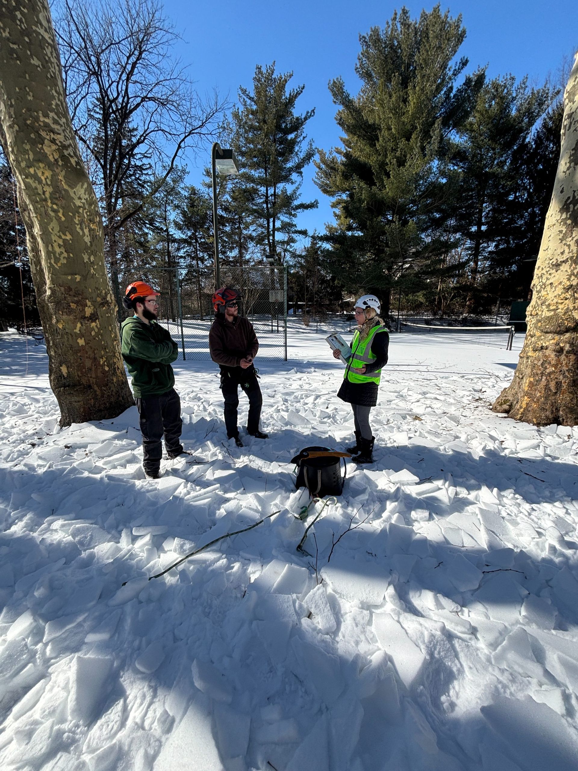 Three people in helmets and winter gear stand in a snowy forest, discussing work near a piece of equipment on the ground.