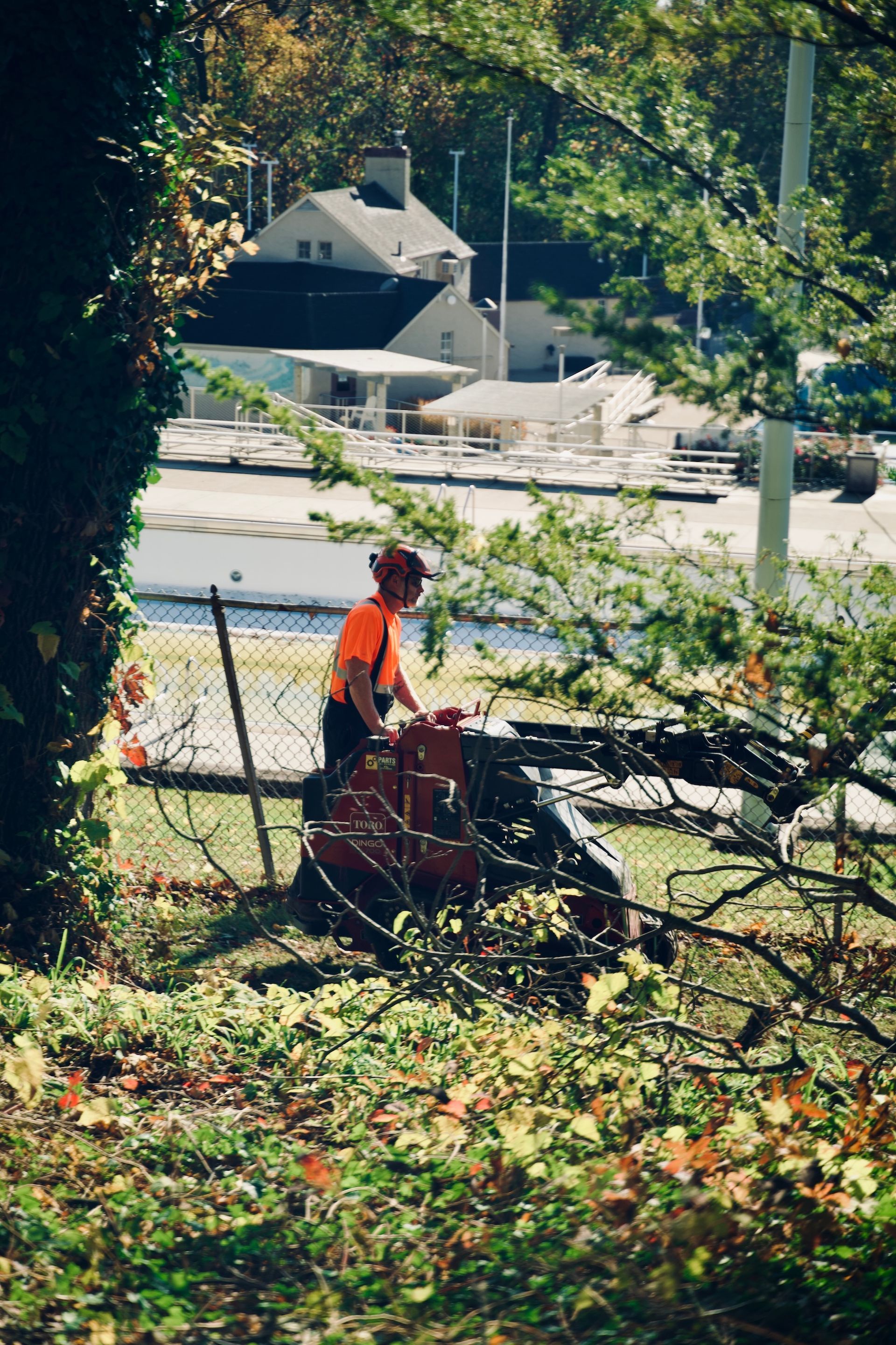 Tree Pruning/Trimming