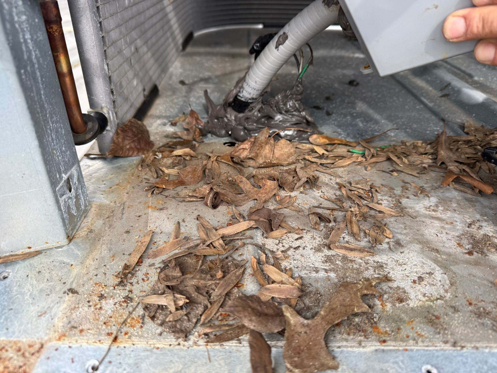 Rusty metal cabinet floor with dirt, wood debris, and a white hose in a cramped corner